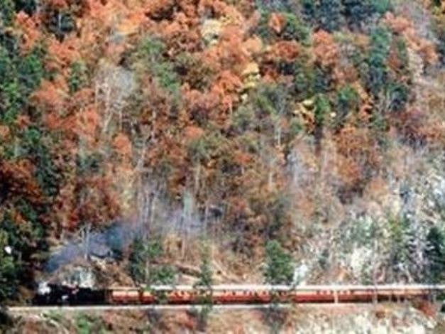 Photo of Outdoor in Bryson City