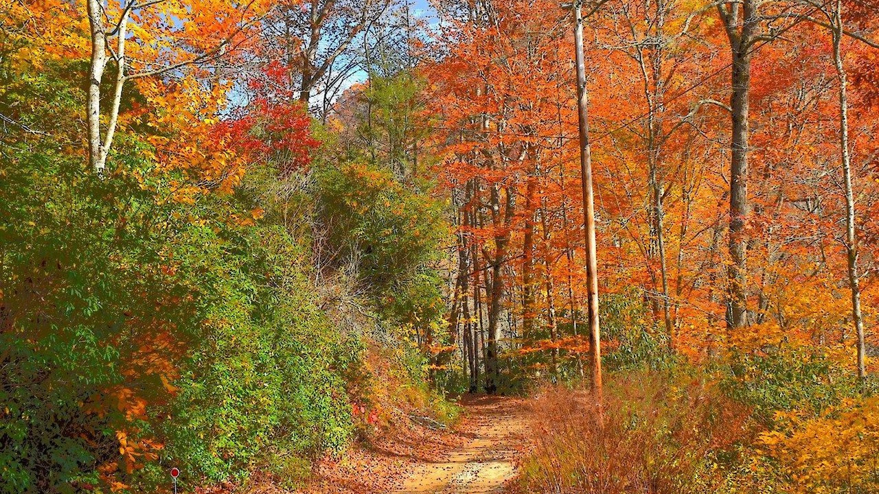 Photo of Outdoor in Robbinsville