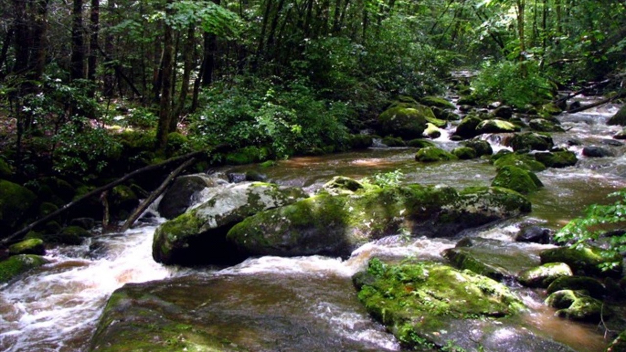 Photo of Others in Robbinsville