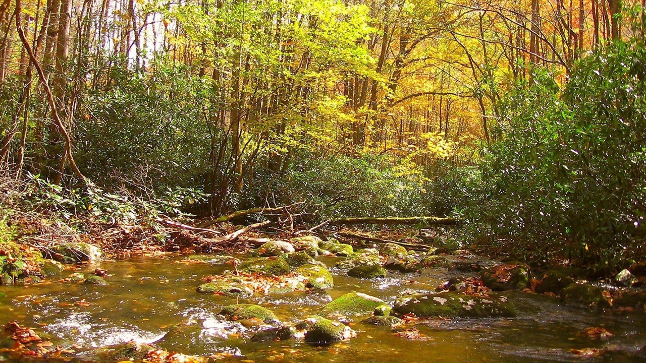 Photo of Outdoor in Robbinsville