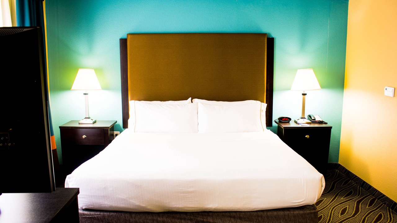 Photo of Bedroom in Havelock