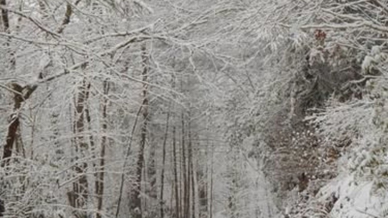 Photo of Others in Robbinsville