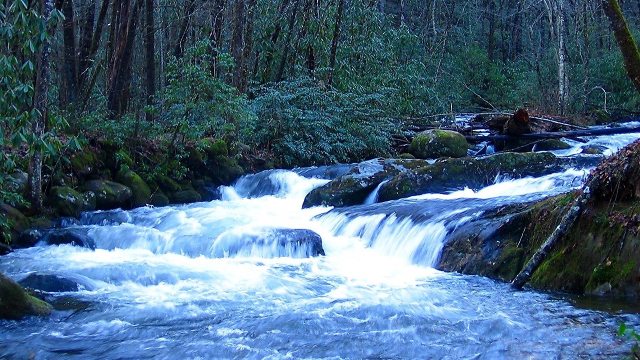 Photo of Outdoor in Robbinsville