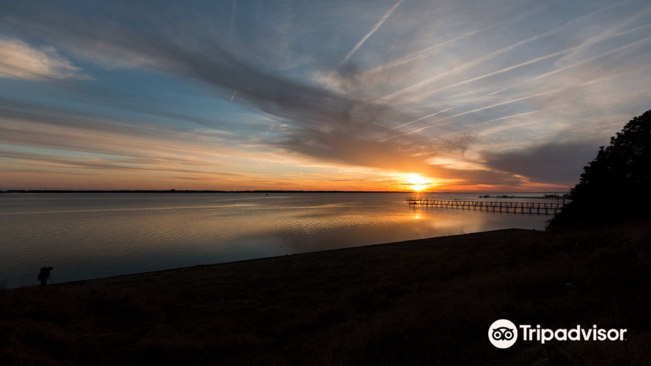 Photo of Outdoor in Morehead City
