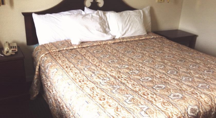 Photo of Bedroom in Havelock