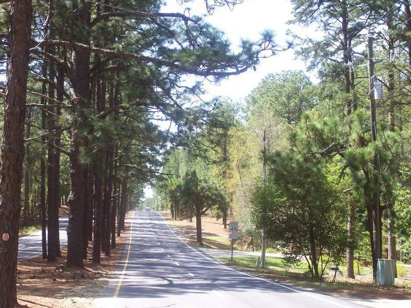 Photo of Others in Southern Pines