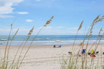 Photo of Others in Holden Beach