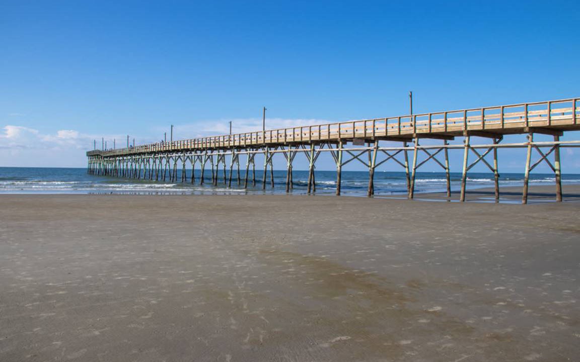 Photo of Others in Sea Trail