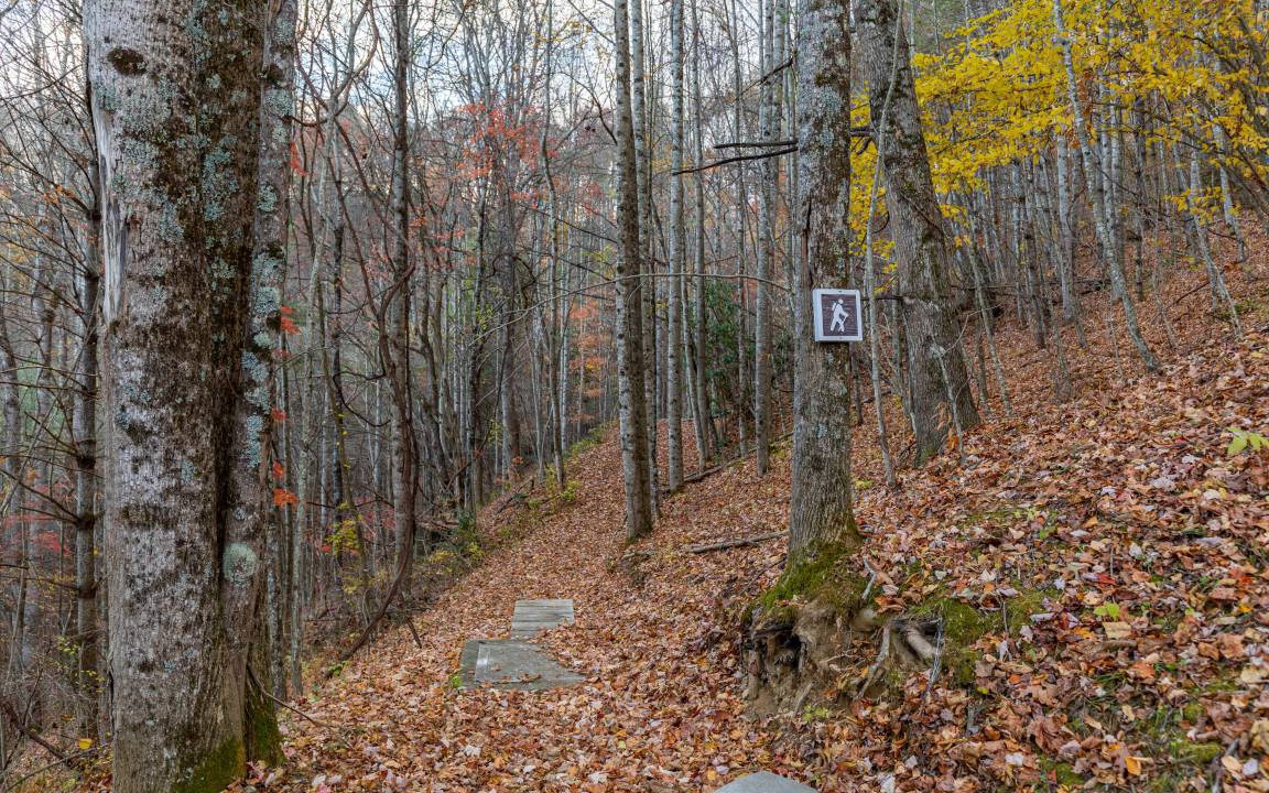Photo of Others in Mill Ridge