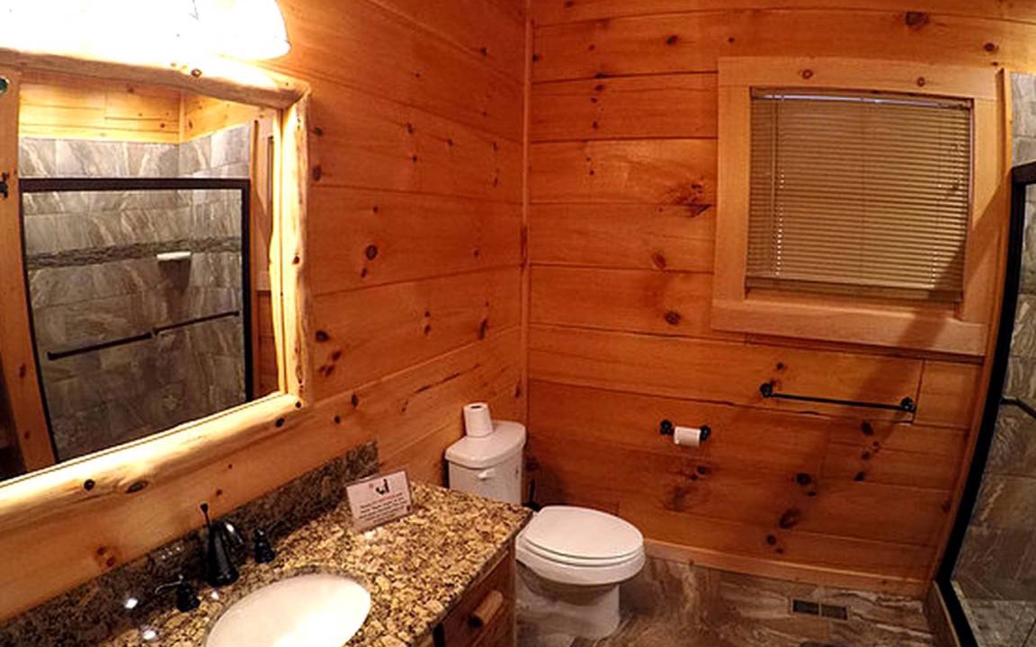 Photo of Bathroom in Dobson