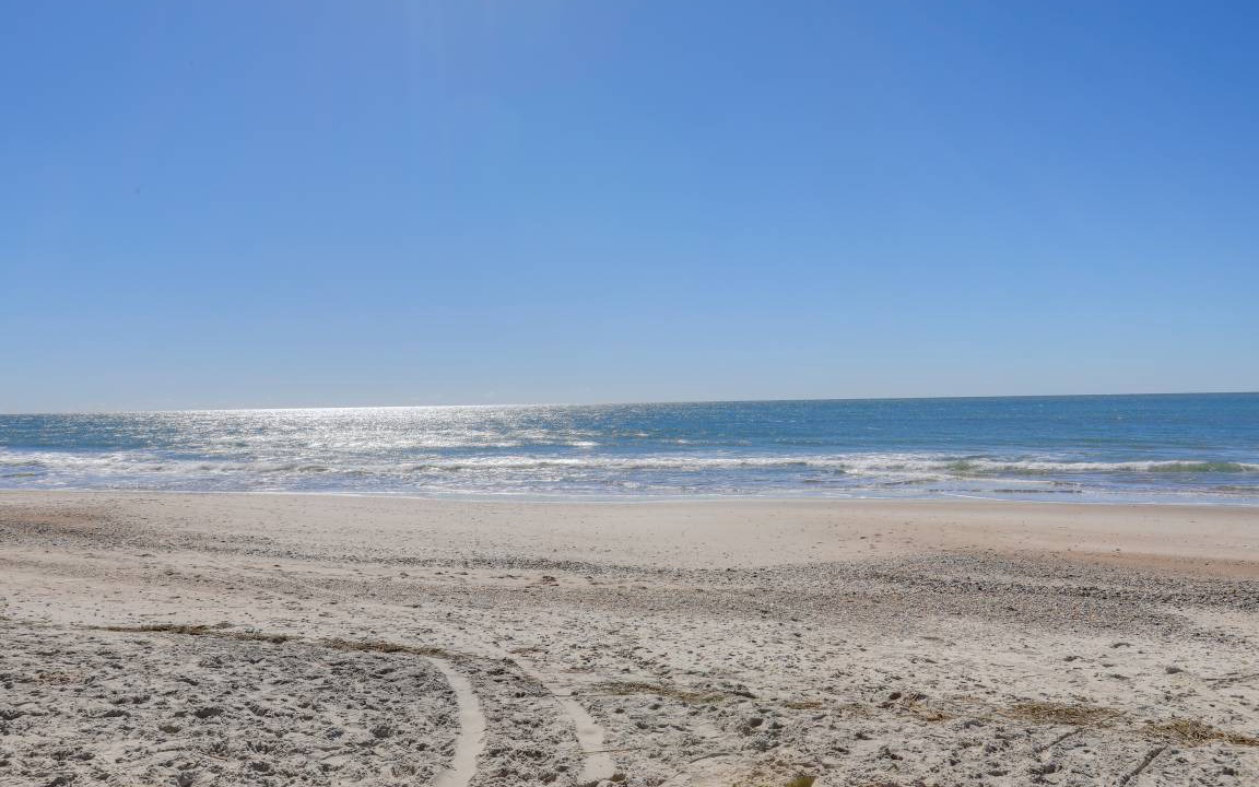 Photo of Others in Pine Knoll Shores