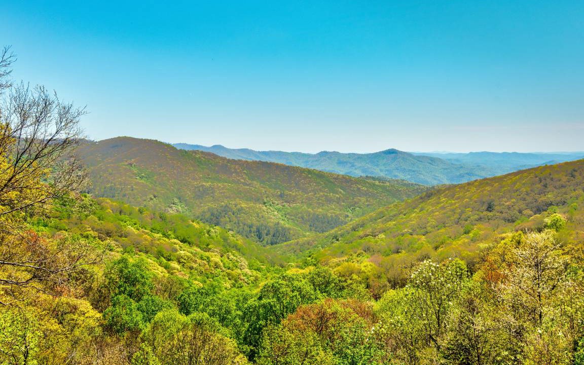 Photo of Others in Blowing Rock