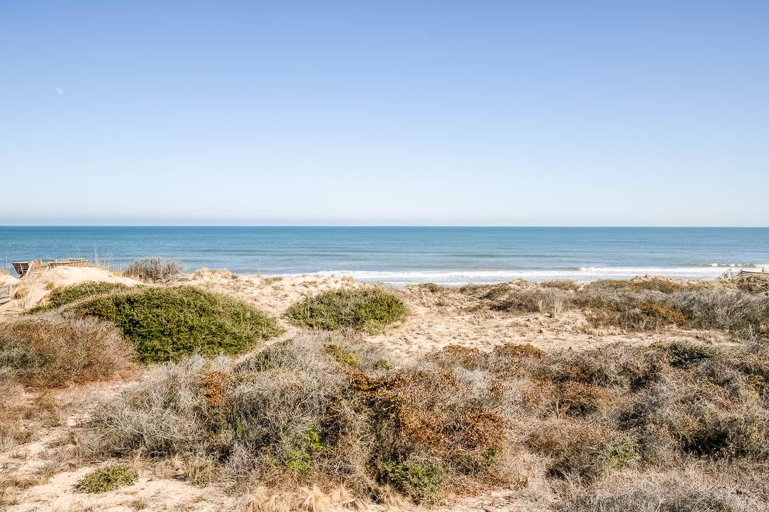 Photo of Others in Corolla Light