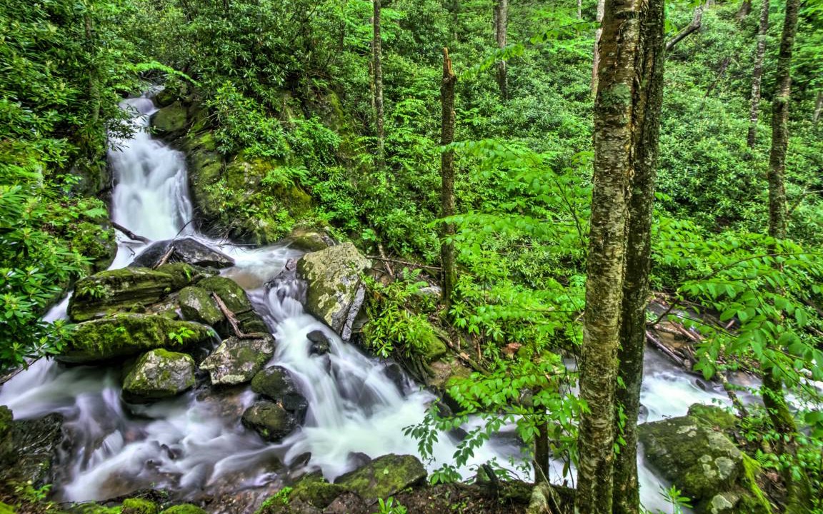 Photo of Others in Boone