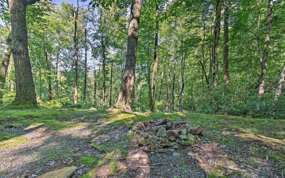 Photo of Outdoor in Barnardsville