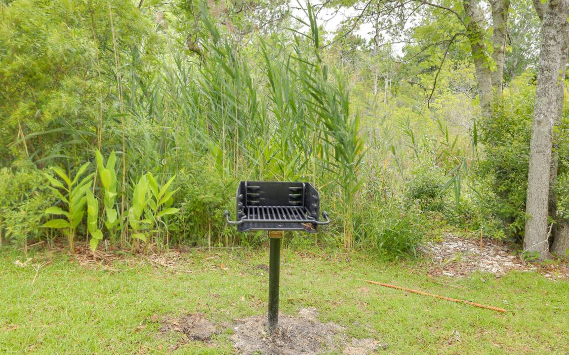 Photo of Others in Harkers Island