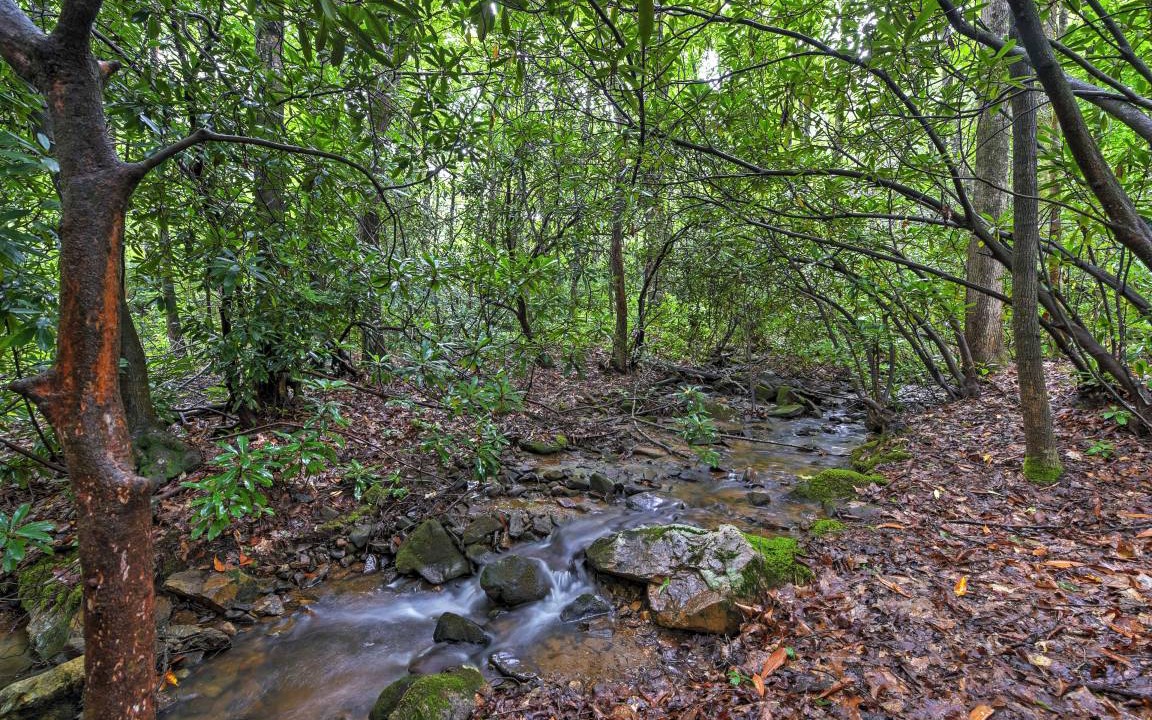 Photo of Outdoor in Candler