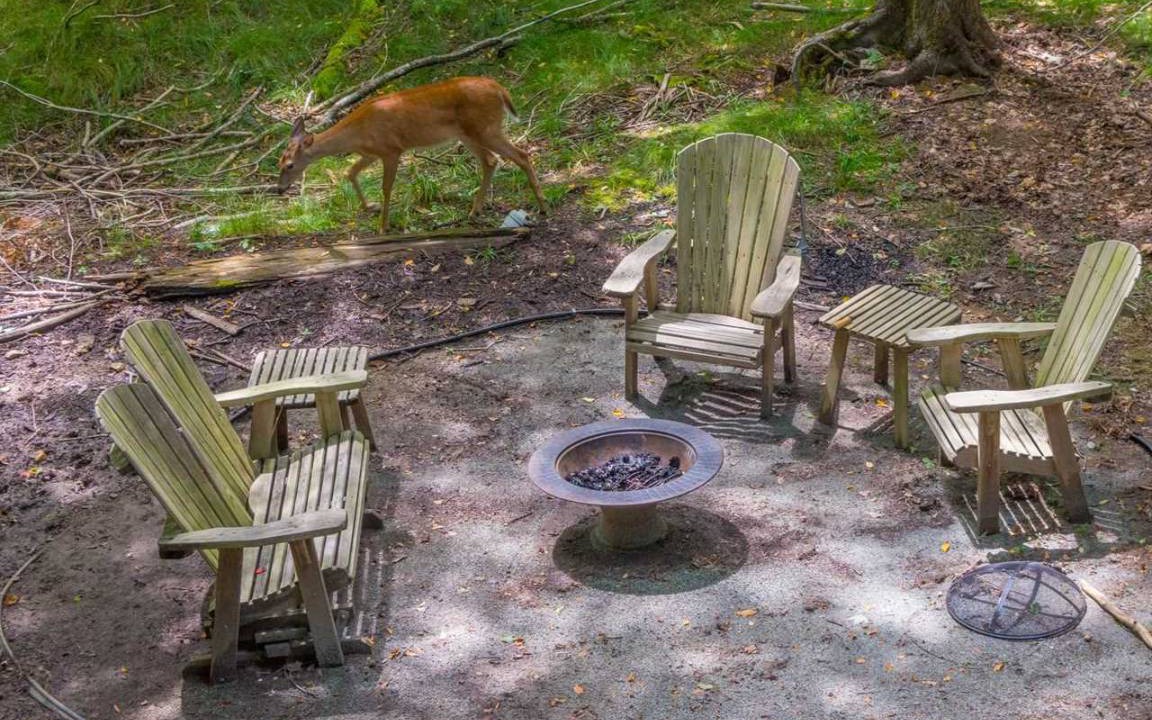 Photo of Others in Charter Hills