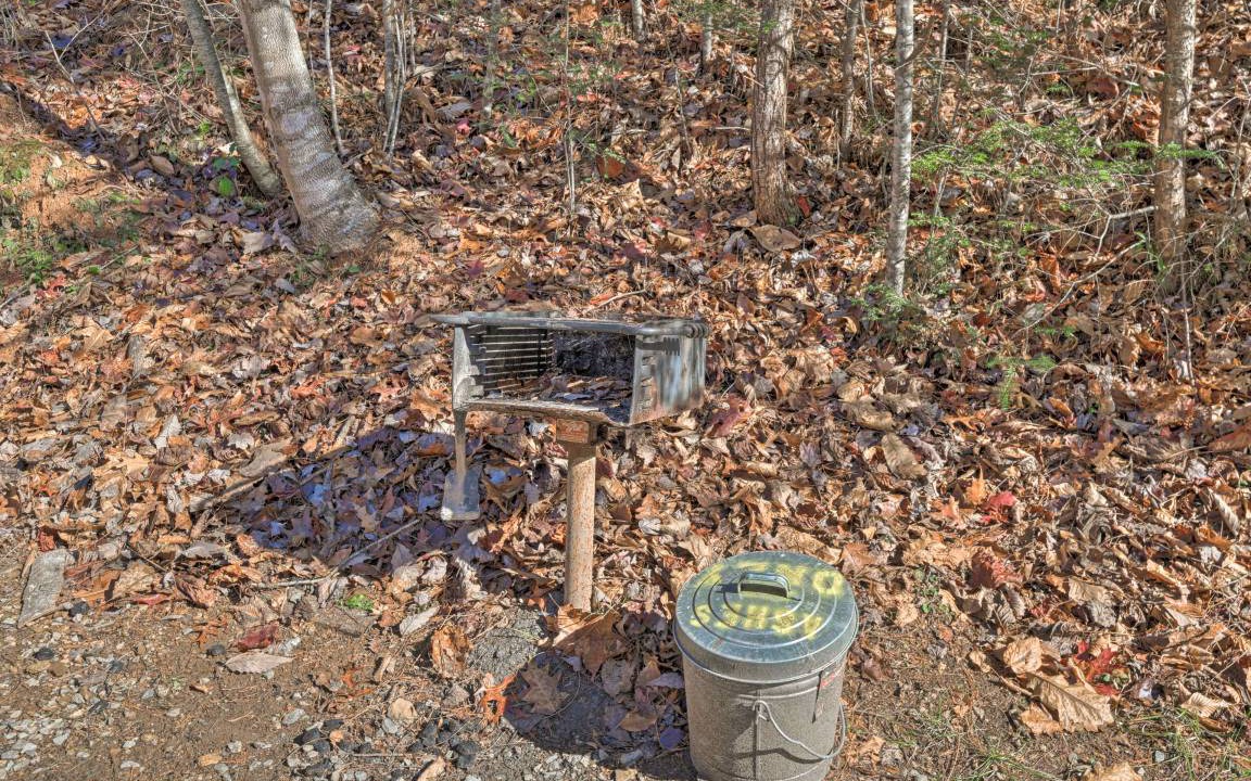 Photo of Others in Bryson City