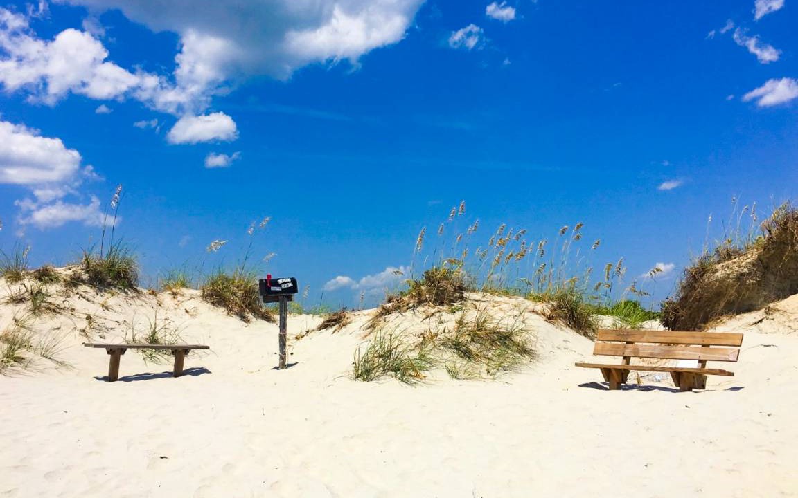 Photo of Others in Sea Trail