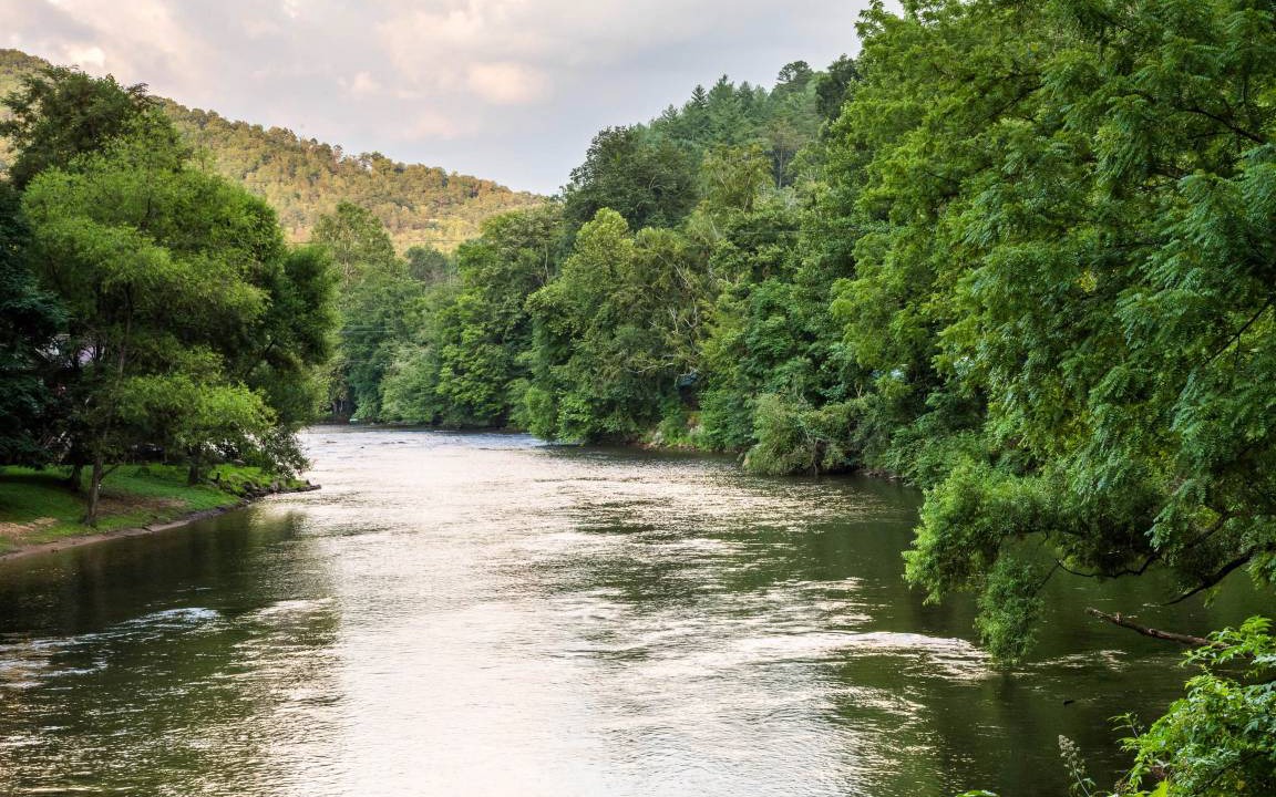 Photo of Others in Sylva