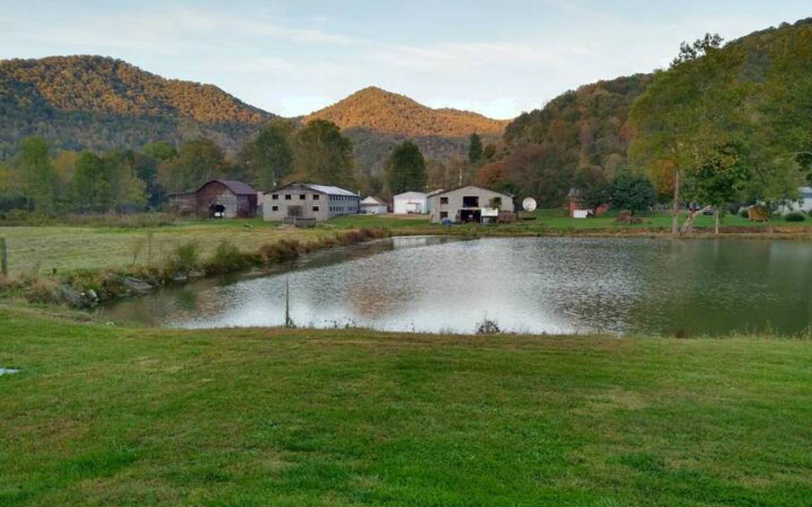 Photo of Others in Barnardsville