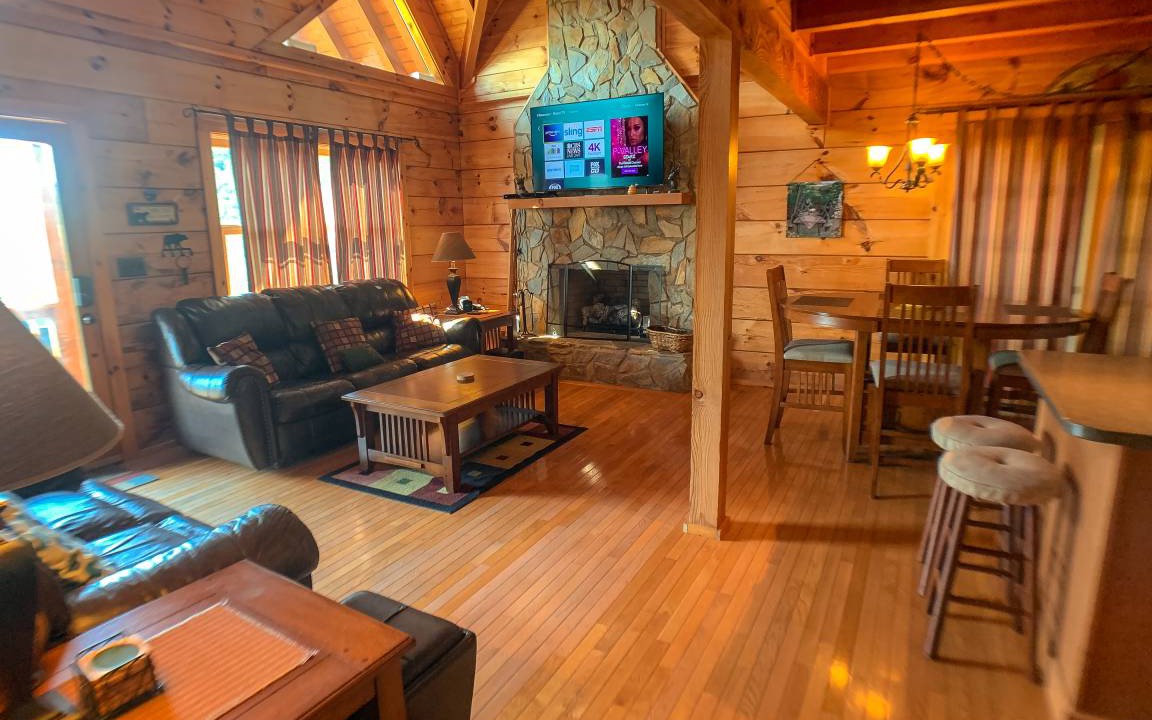 Photo of Livingroom in Buck Mountain
