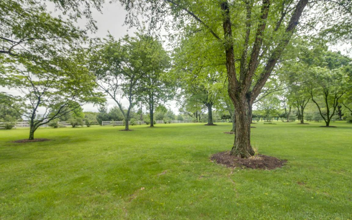Photo of Others in Lawndale