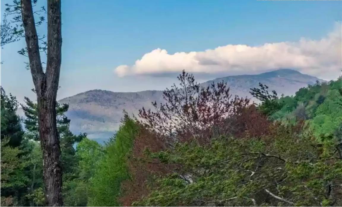 Photo of Others in Blowing Rock