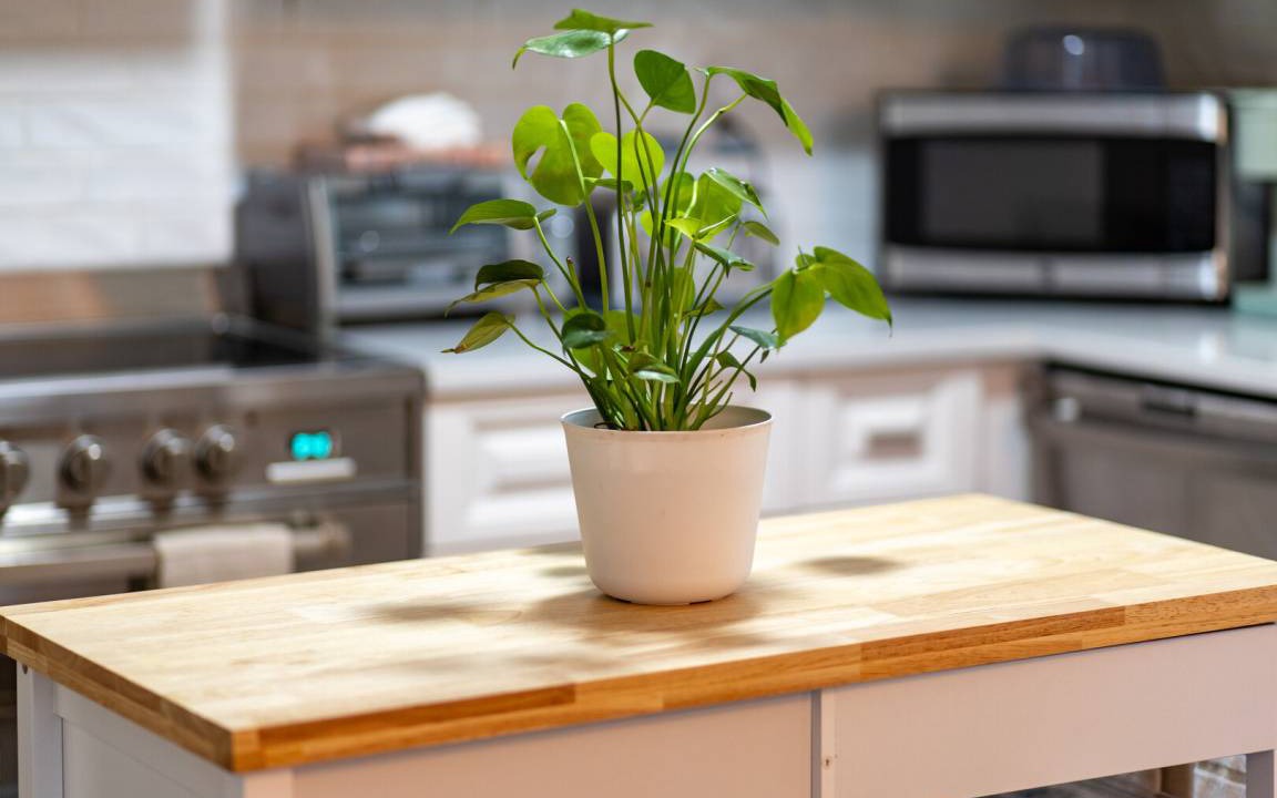Photo of Kitchen in Wessex Square