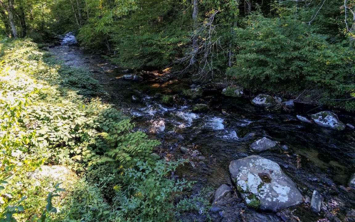 Photo of Others in Bakersville