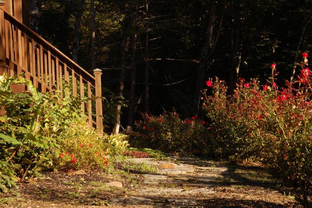 Photo of Others in Bryson City