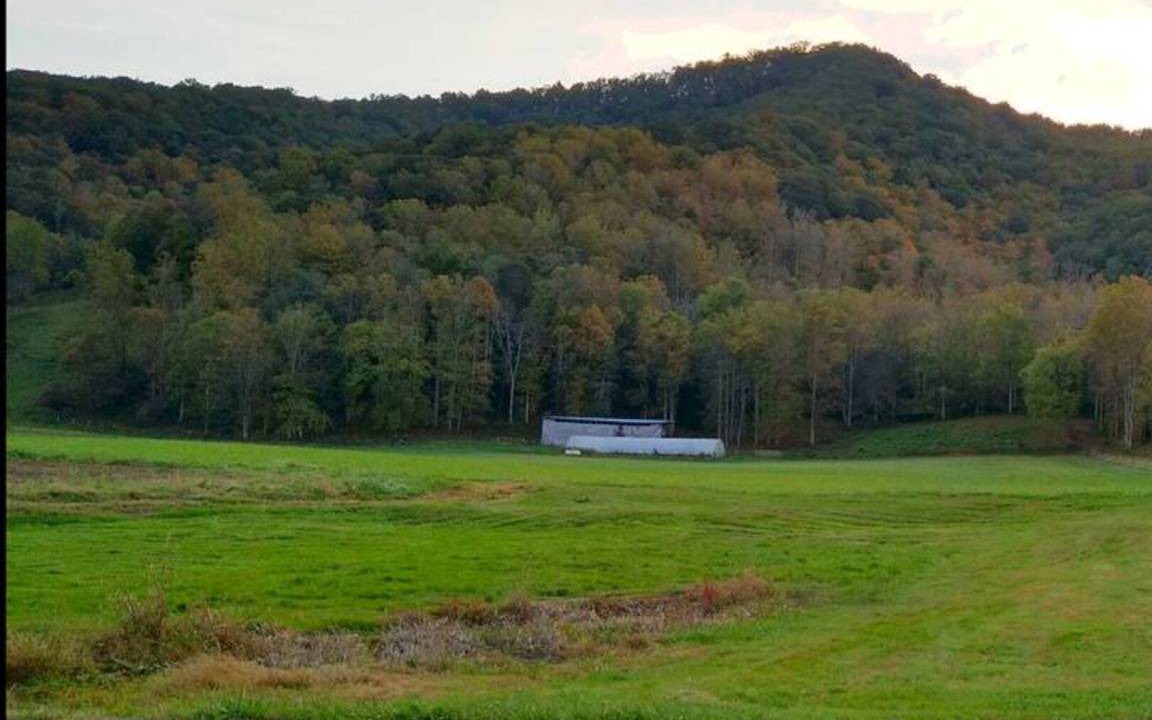 Photo of Others in Barnardsville