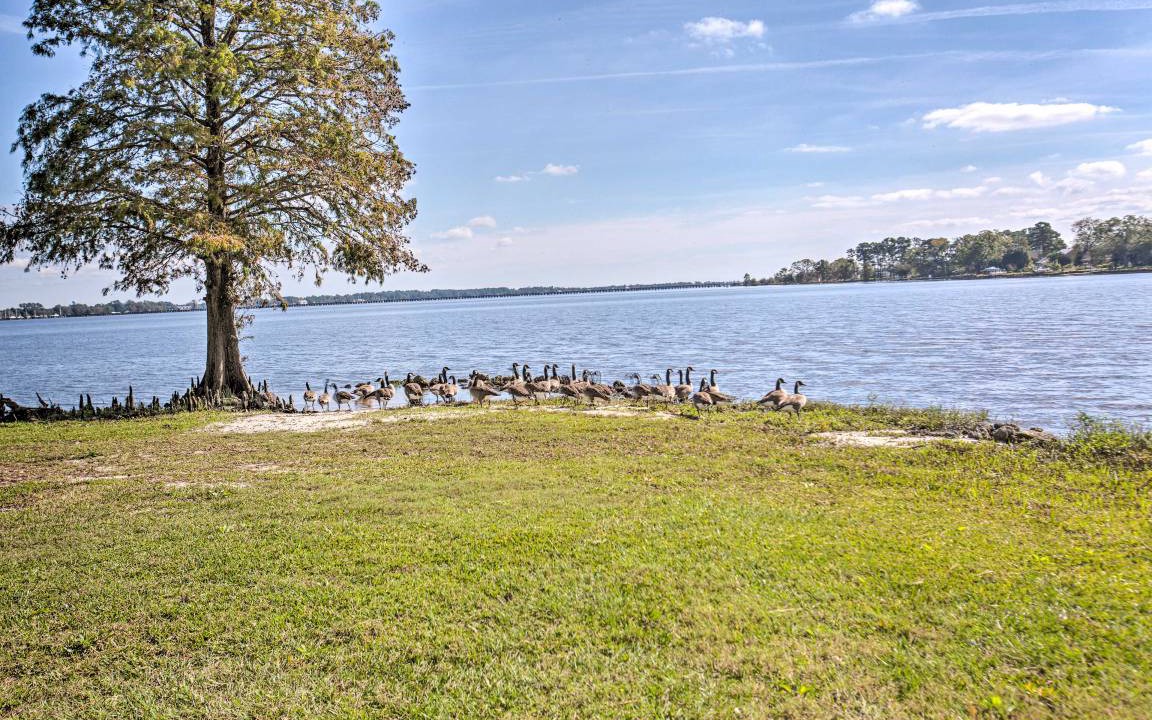 Photo of Others in New Bern