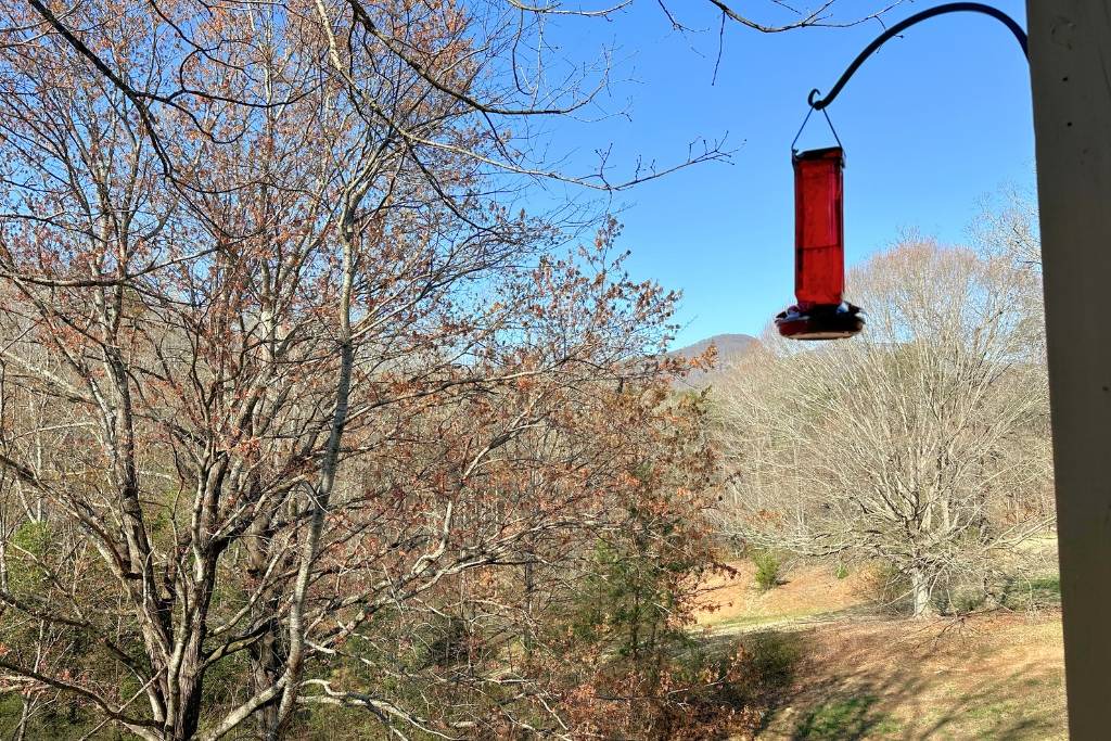 Photo of Others in Lake Lure