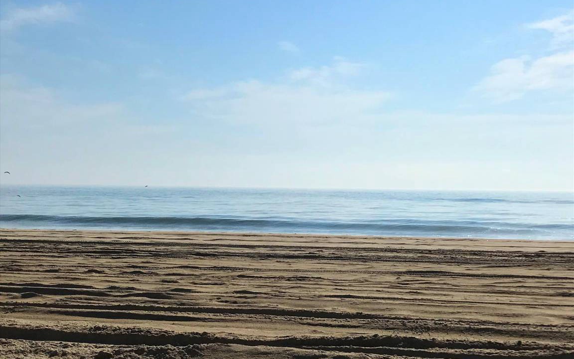 Photo of Others in Ocean Sands