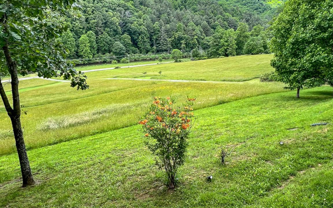 Photo of Outdoor in Todd