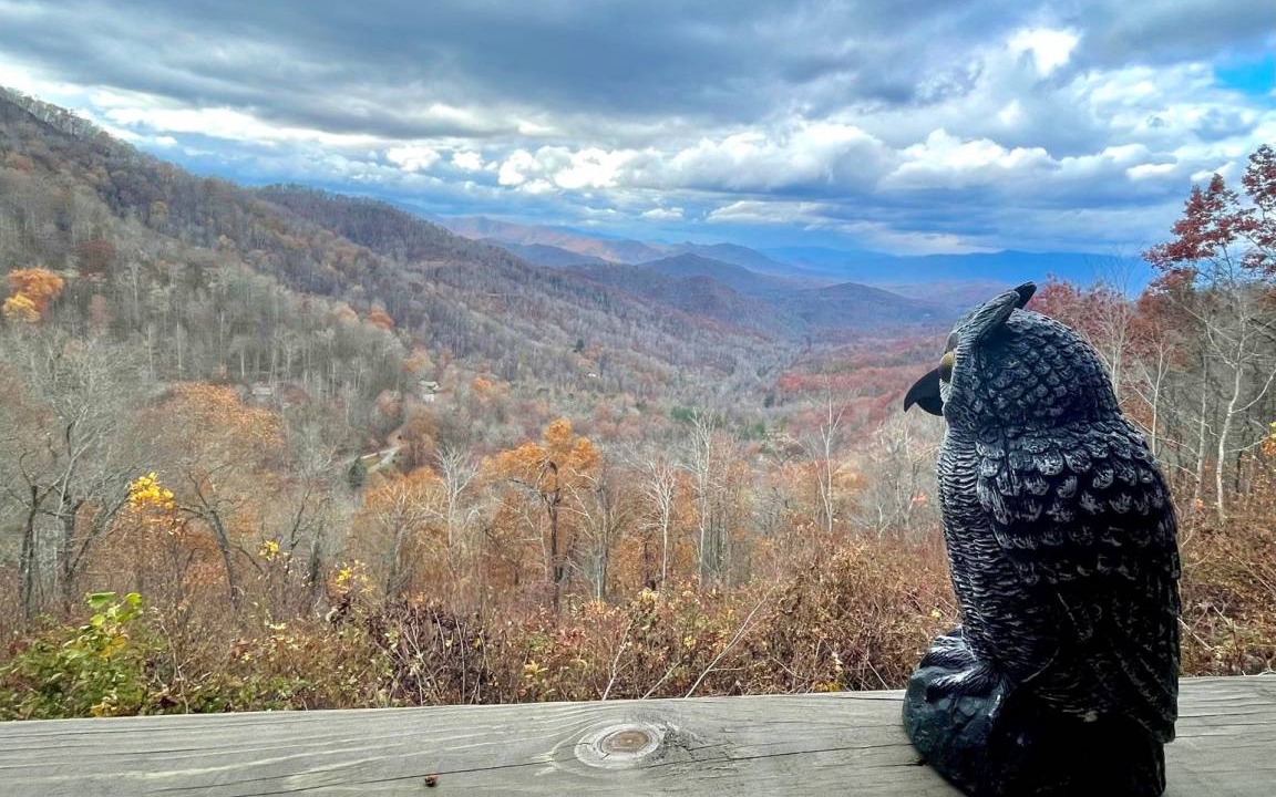 Photo of Others in Bryson City