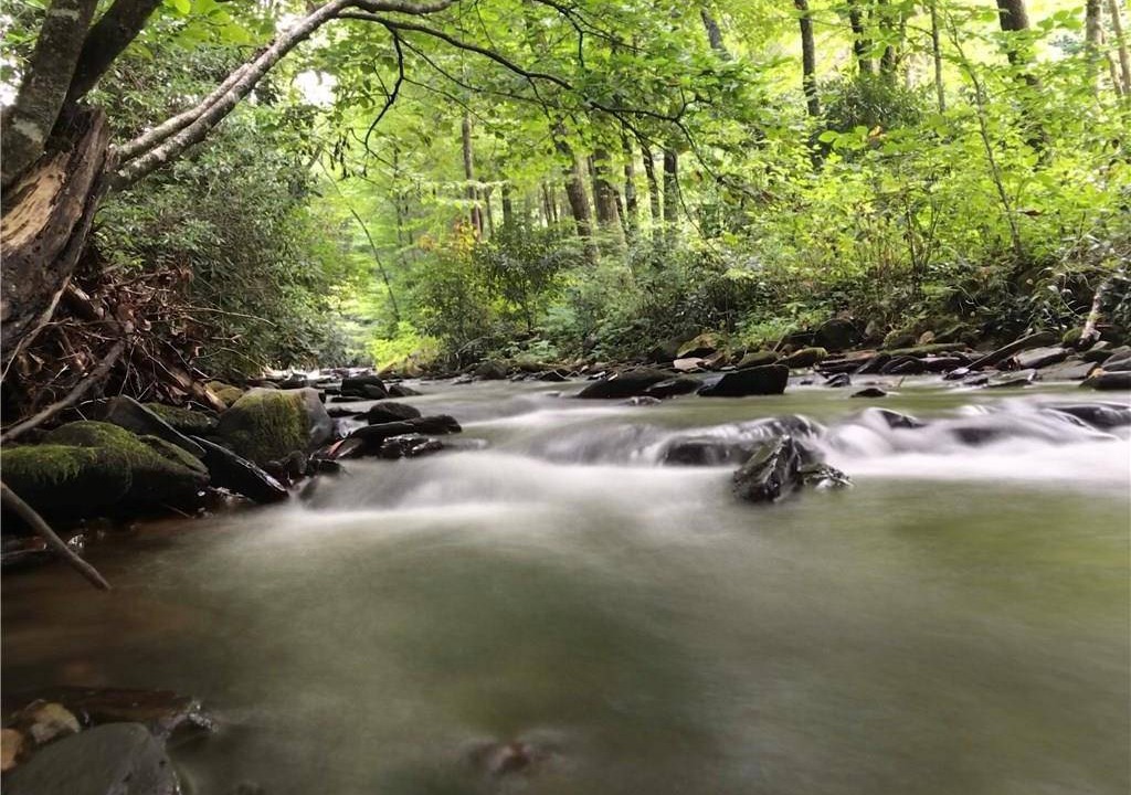 Photo of Others in Spruce Pine