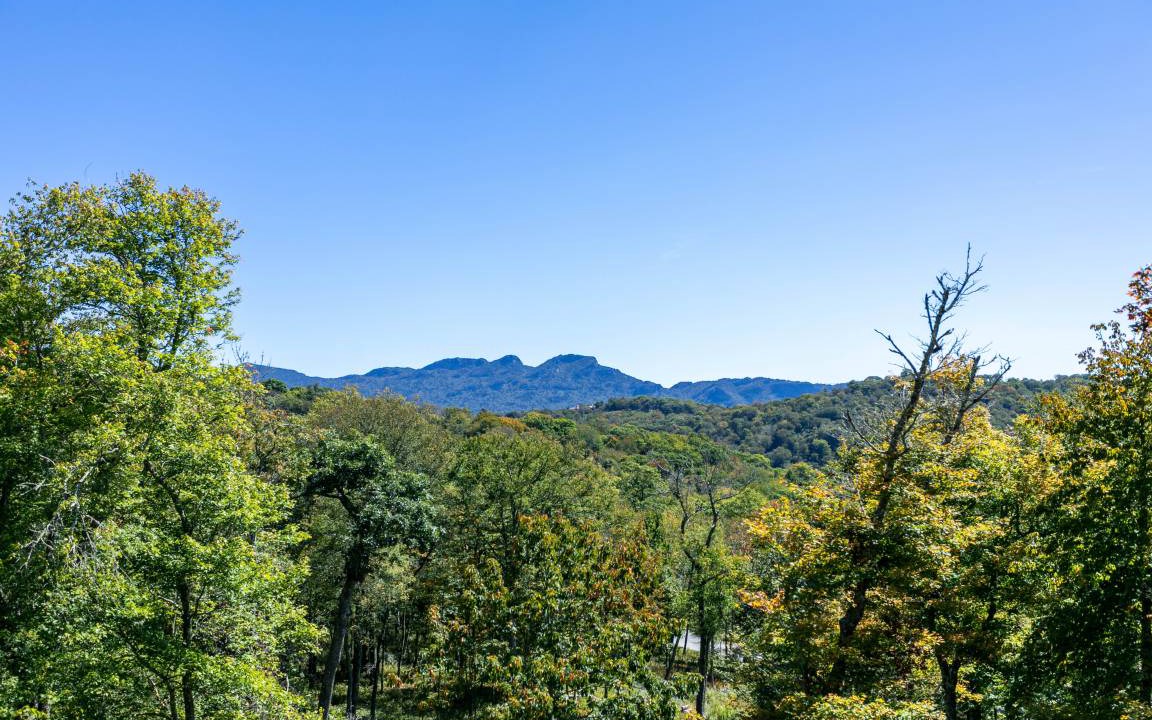 Photo of Others in Sugar Mountain