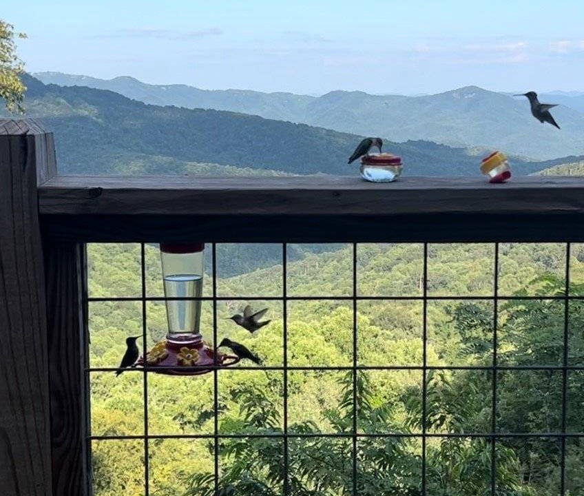 Photo of Patio Balcony in Blowing Rock