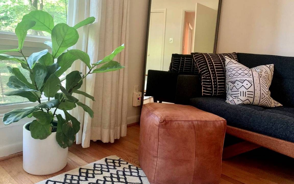 Photo of Livingroom in Chapel Hill