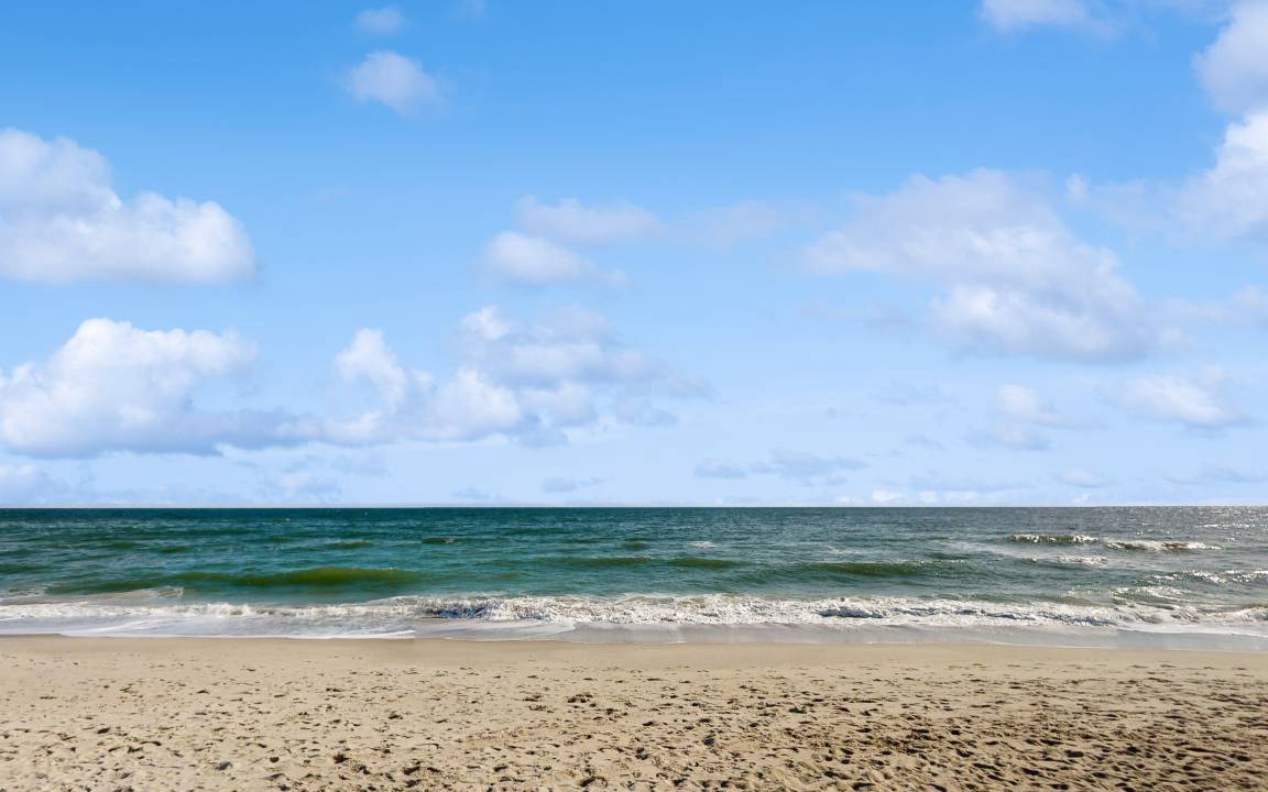 Photo of Others in North Carolina Coast
