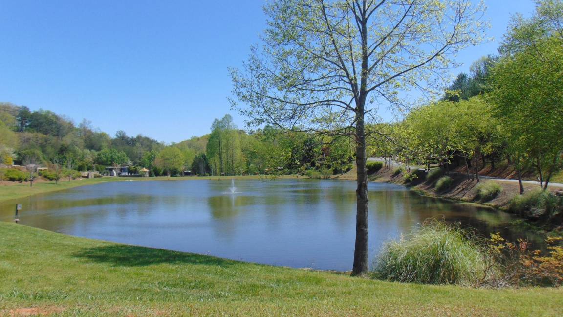 Photo of Others in Lake Lure