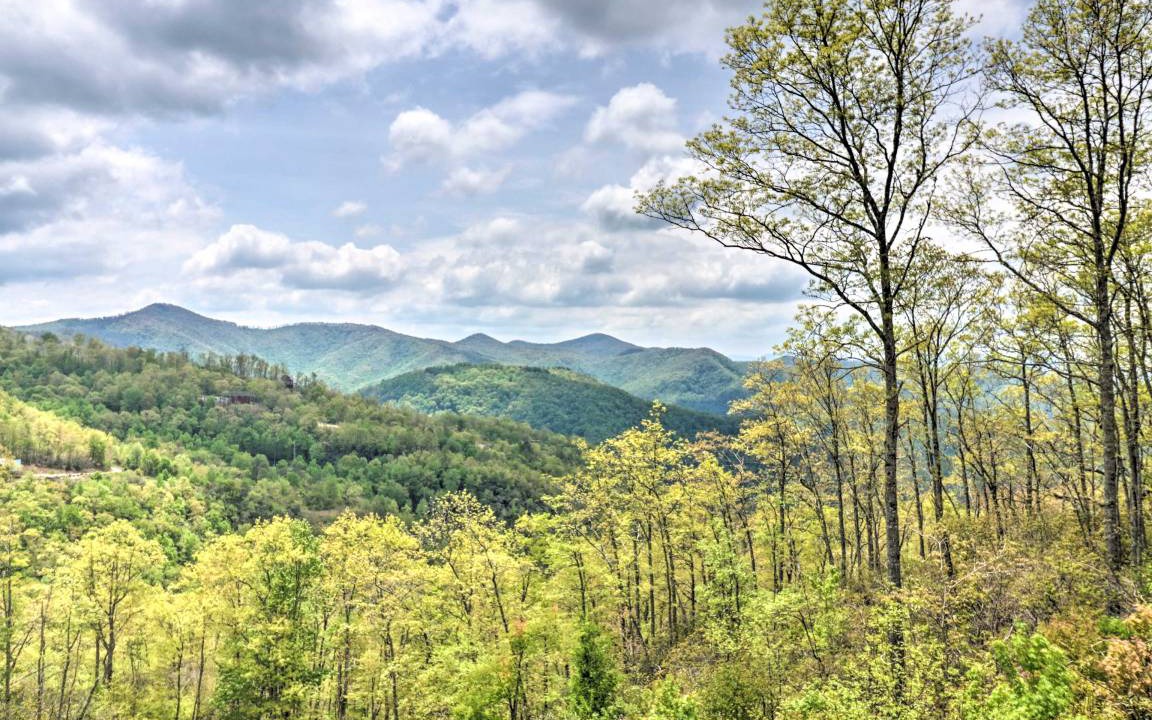 Photo of Others in Bryson City