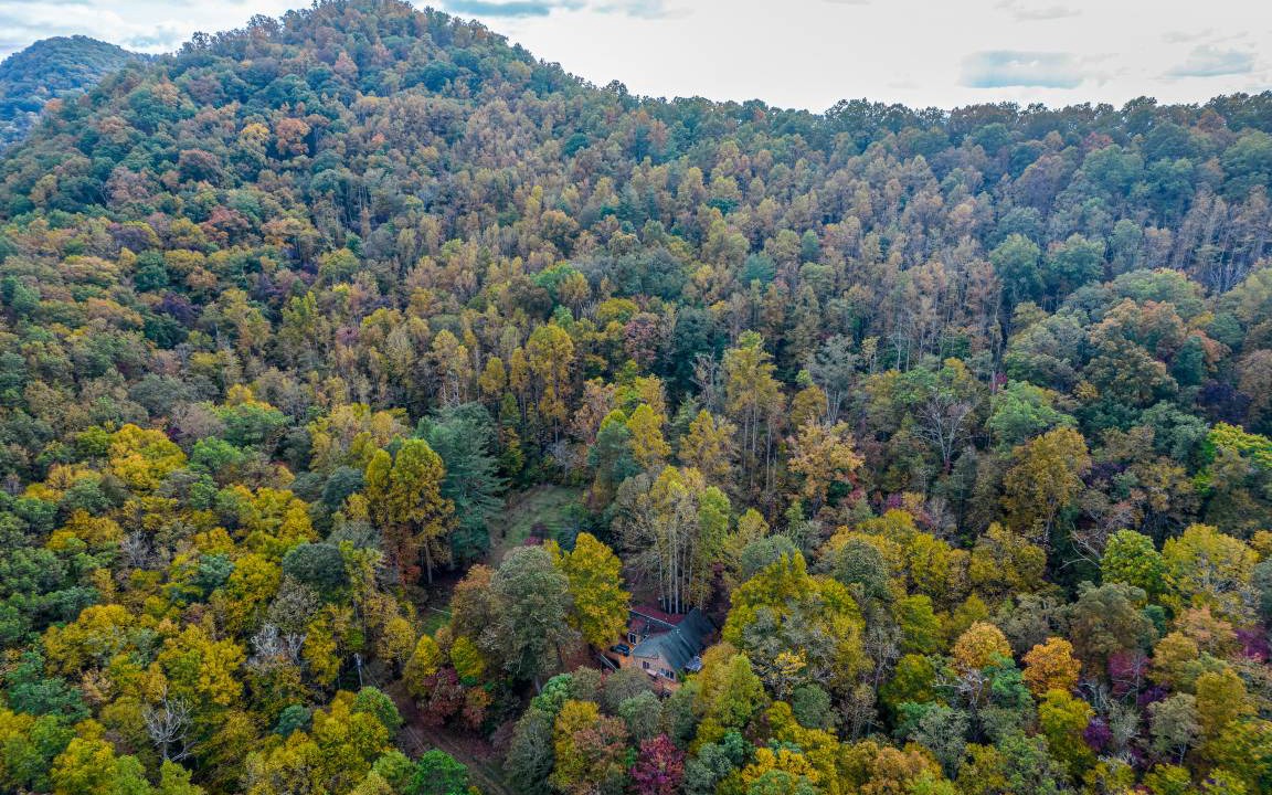 Photo of Others in Sylva