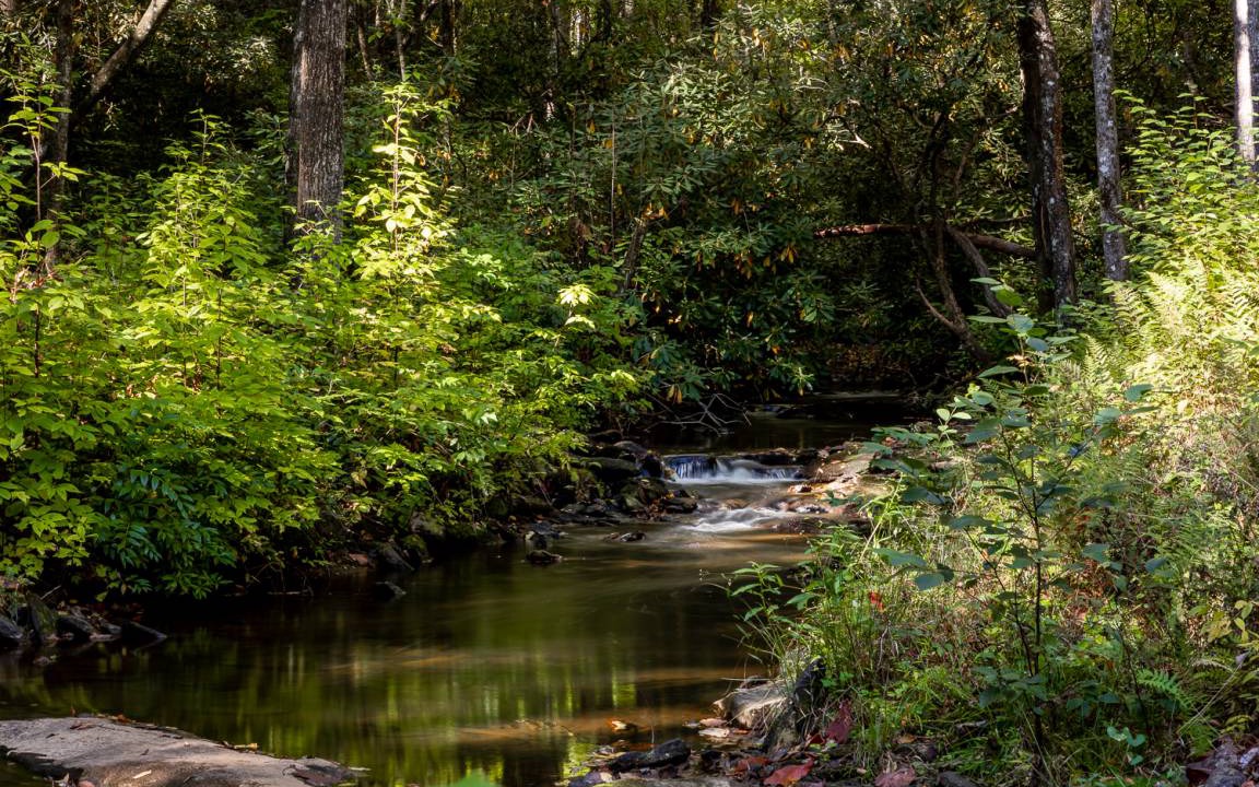 Photo of Others in Lake Toxaway
