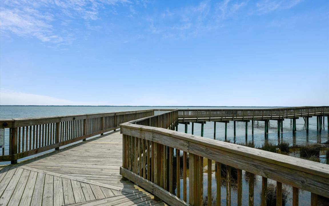 Photo of Others in Carolina Dunes