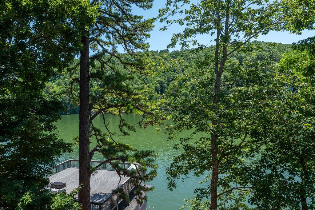 Photo of Others in Lake Lure