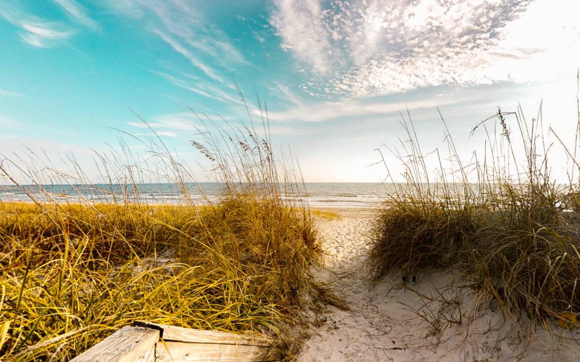 Photo of Others in Pine Knoll Shores